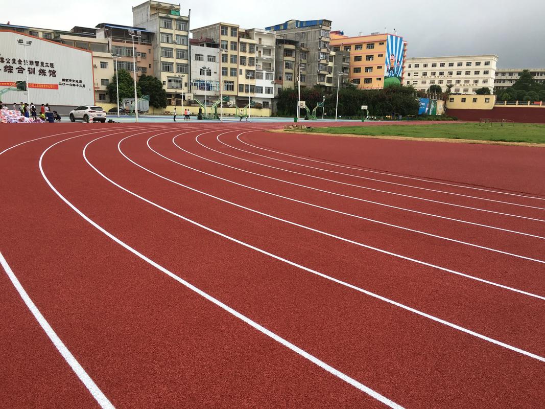 长沙市EPDM颗粒塑胶跑道材料 - 推荐